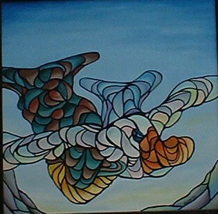 Old Mcduck Takes a Flight.JPG
