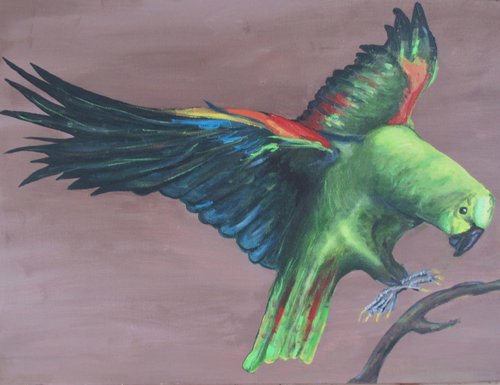 Parrot.jpg