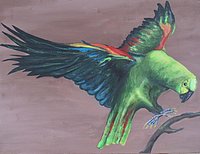 Parrot.jpg