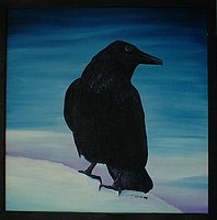 Raven.JPG