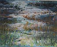 Swamp 8.jpg