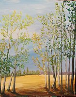 birch trees 1.jpg